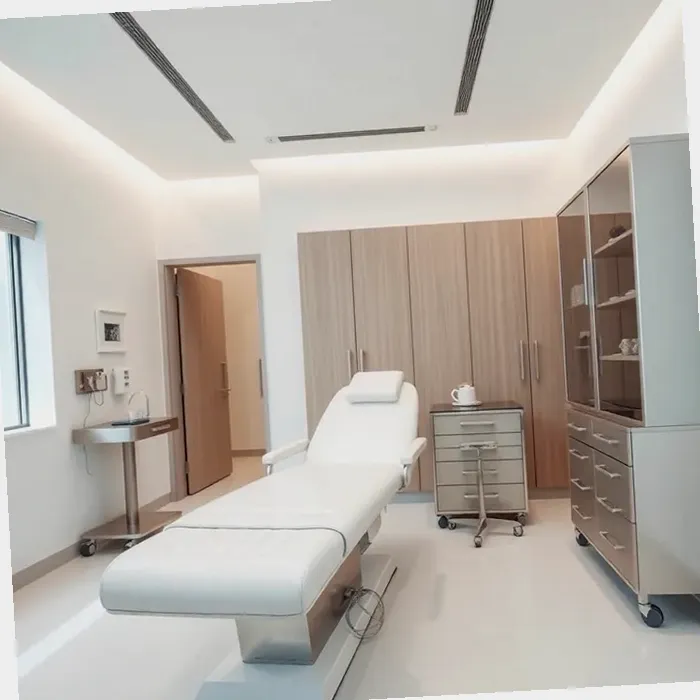 Electric Patient Hoist