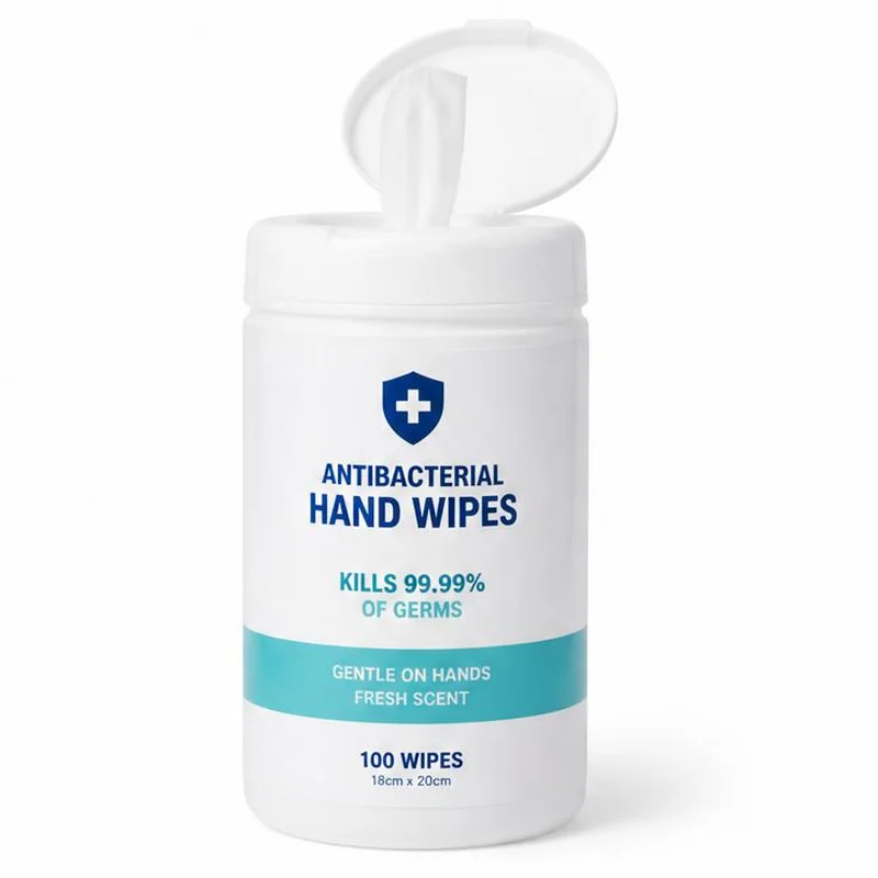 Antibacterial Hand Wipes 100ct