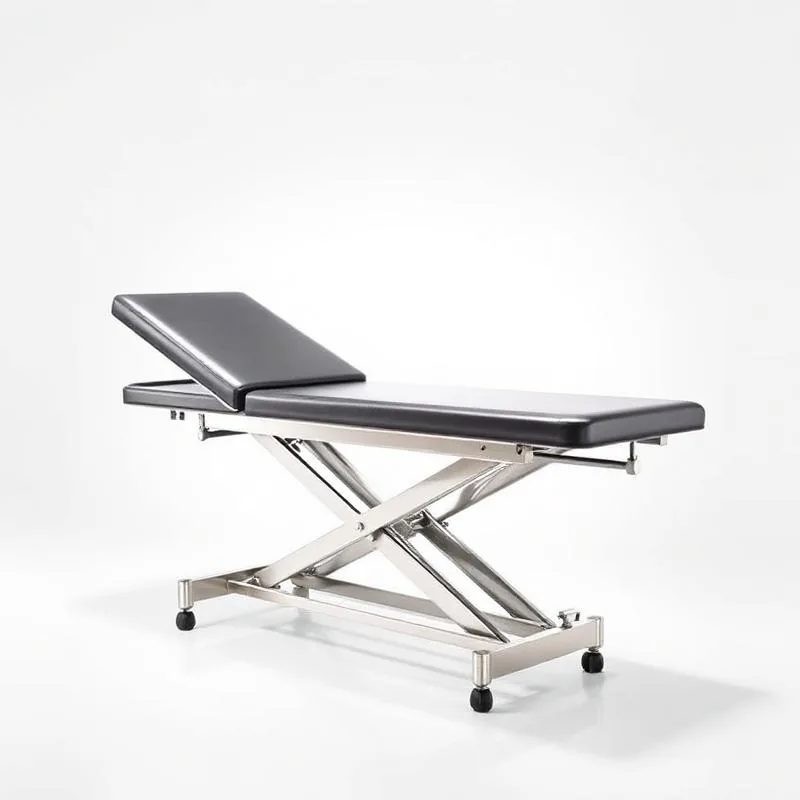 Veterinary Examination Table